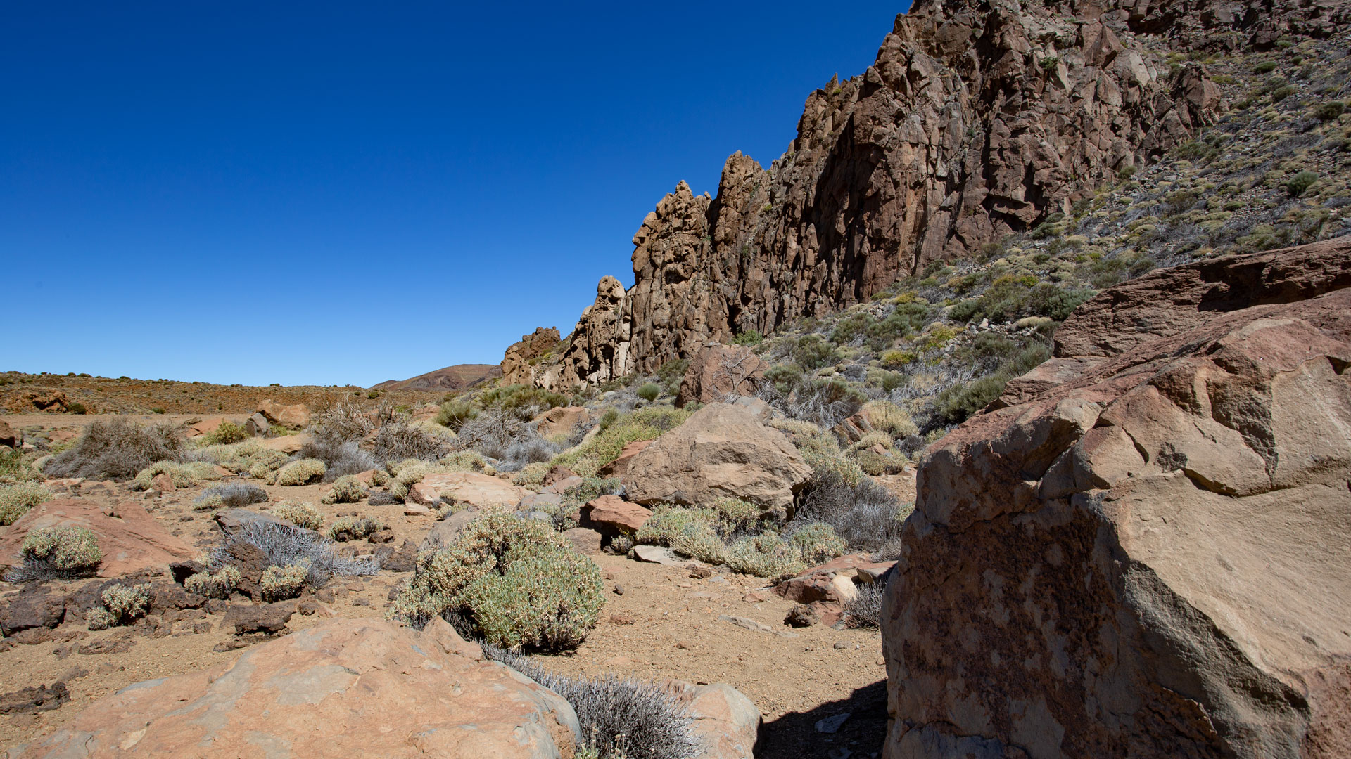 Die einzigartige Caldera de las Cañadas im Teide Nationalpark sunhikes